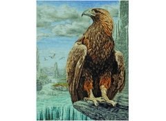 Набір для вишивання "3D Орел (3D Eagle)" ANCHOR MAIA