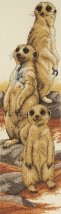 Набор для вышивания "Сурикаты (Meerkats)" ANCHOR