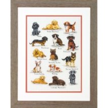 Набір для вишивання хрестиком "Собачий семплер//Dog Sampler" DIMENSIONS 70-35353
