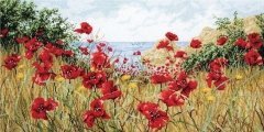 Набір для вишивання "Маки біля моря (Clifftop Poppies)" ANCHOR