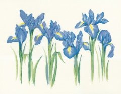 Схема для вышивания крестом "Ирисы//Irises" Heritage Crafts