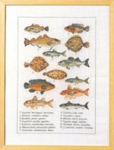 Набір для вишивання "Риби (Fish)" PERMIN
