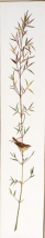 Моток — постачальник натхнення | Набори для вишивки, схеми вишивки, муліне, бісер, та інше. Доставка поштою по Україні.