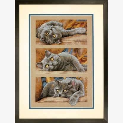 Набор для вышивания крестом "Кот Макс//Max the Cat" DIMENSIONS 70-35301