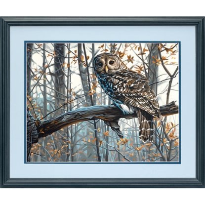 Набір для малювання фарбами по номерам "Мудра сова//Wise Owl" DIMENSIONS